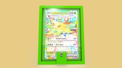 Charm and Pin Toploader Display