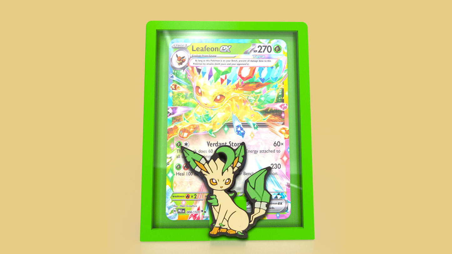 Charm and Pin Toploader Display