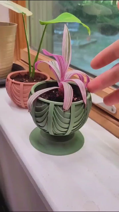 Leva Planter (Small) (Wholesale)